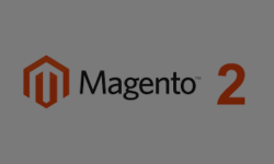 ERP Integration with Magento