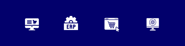 All in one ERP Combined eCommerce Solutions