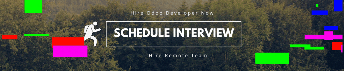 Schedule Interview to Hire Remote Odoo Developer